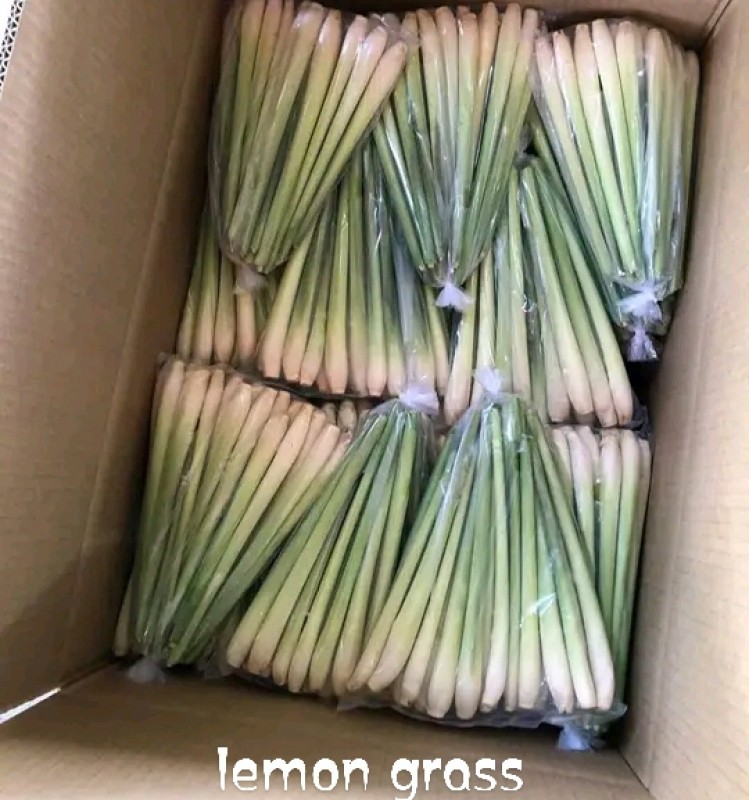 Lemon grass from Indonesia